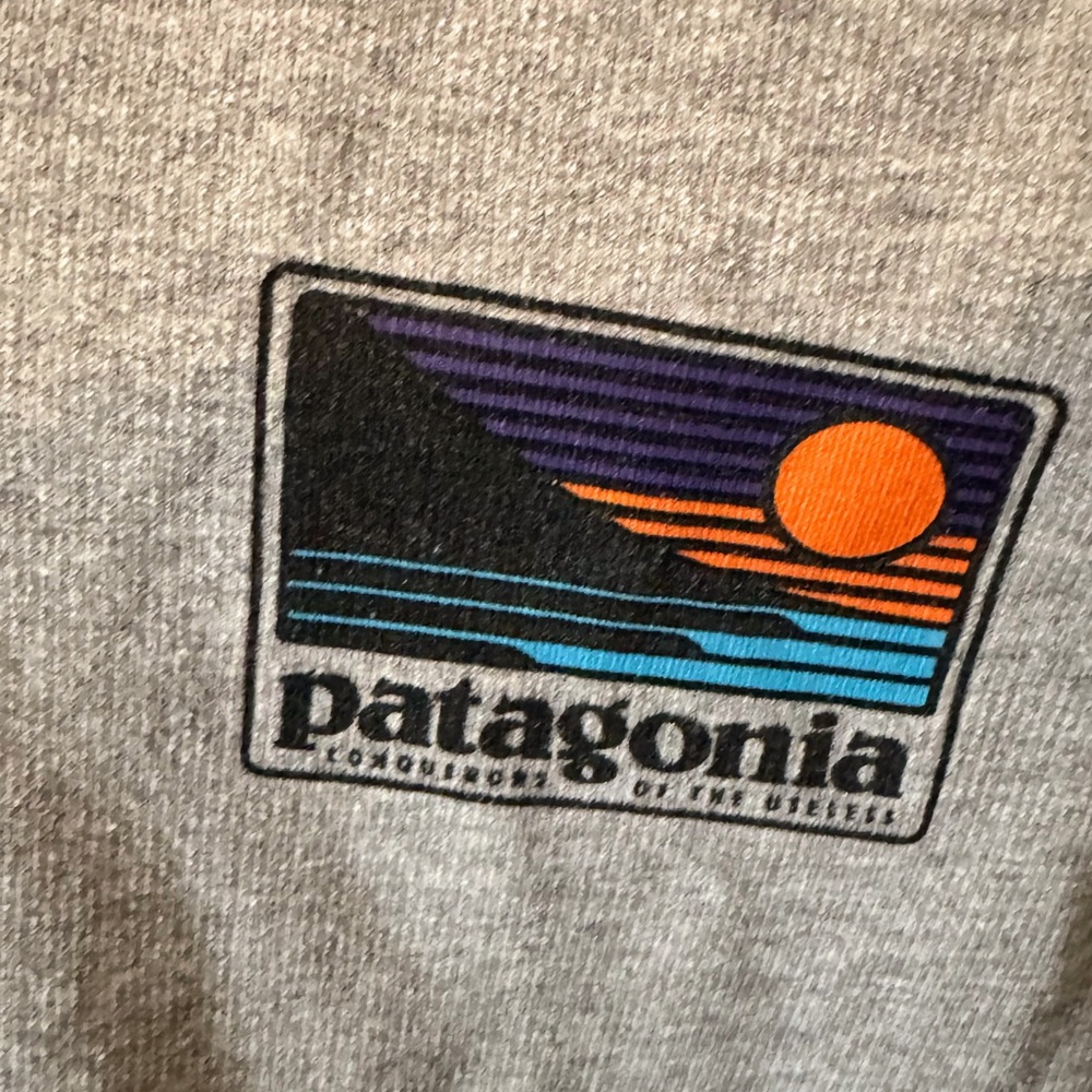 Patagonia Men's Zip-Up Hoodie in Light Gray - Picture 4 of 6
